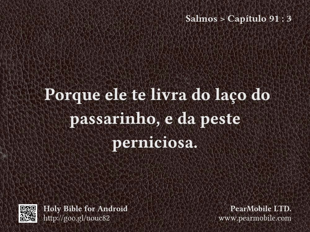 Salmos, Capítulo 91:3